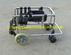 Chariot pour chien à 4 roues paralysie arriere